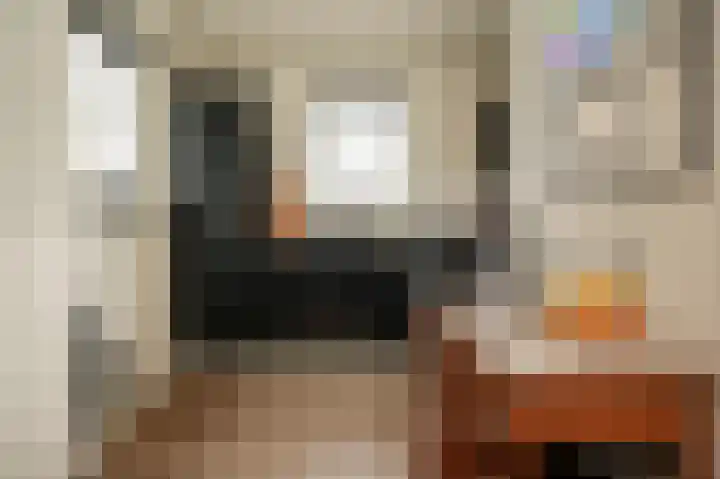 Van Buurenstraat 8 Meeuwen thumbnail 10