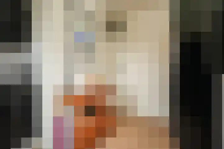 Van Buurenstraat 8 Meeuwen thumbnail 13
