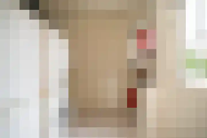 Van Buurenstraat 8 Meeuwen thumbnail 14