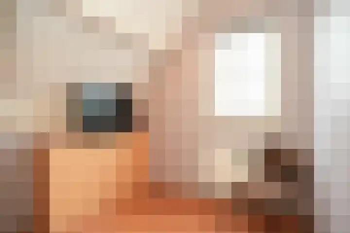 Van Buurenstraat 8 Meeuwen thumbnail 20