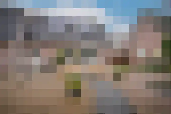 Van Buurenstraat 8 Meeuwen thumbnail 24