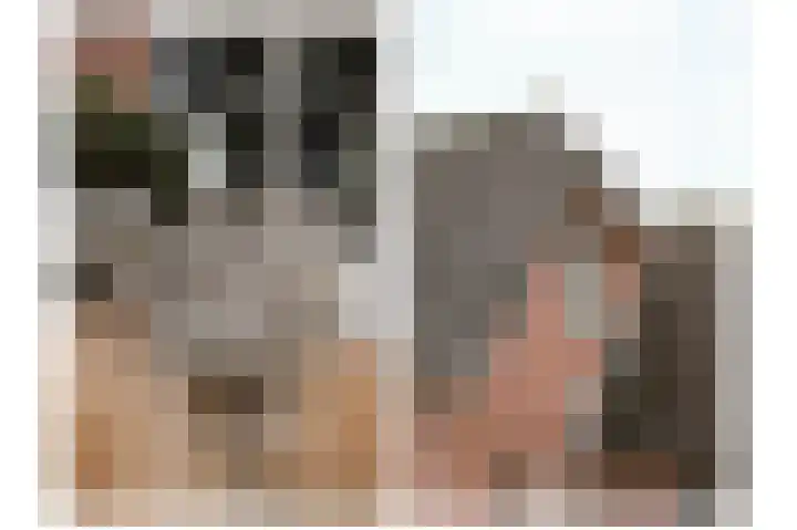 Van Buurenstraat 8 Meeuwen thumbnail 27