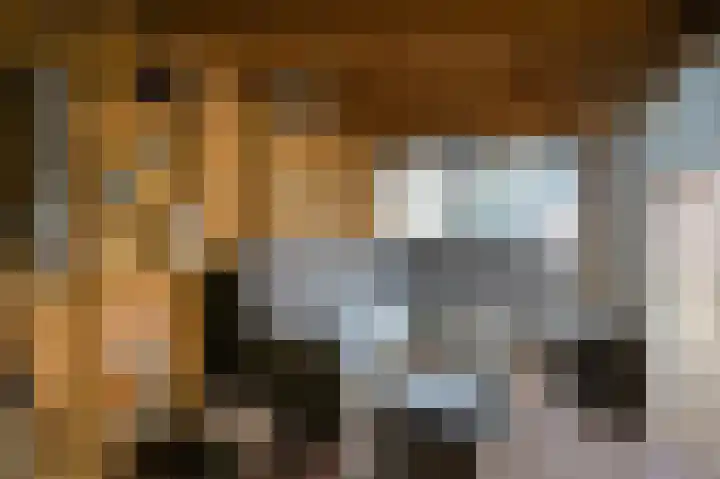 Van Buurenstraat 8 Meeuwen thumbnail 29