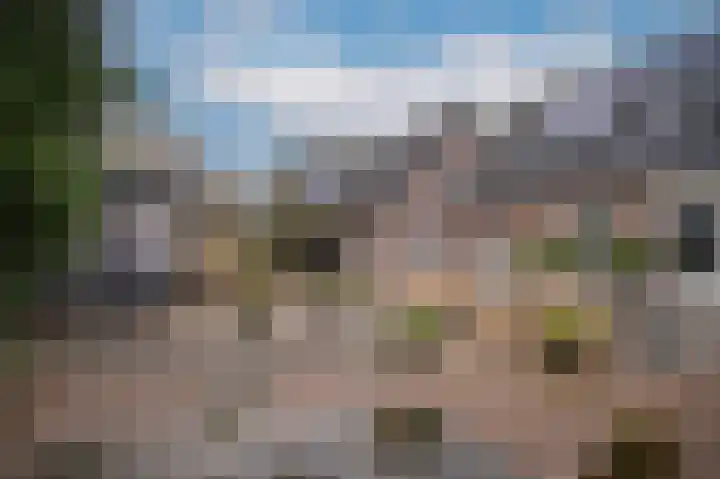 Van Buurenstraat 8 Meeuwen thumbnail 4