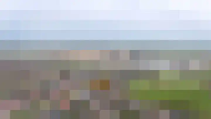 Van Buurenstraat 8 Meeuwen thumbnail 41