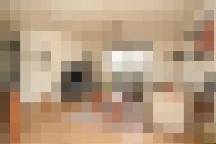 Van Buurenstraat 8 Meeuwen thumbnail 5