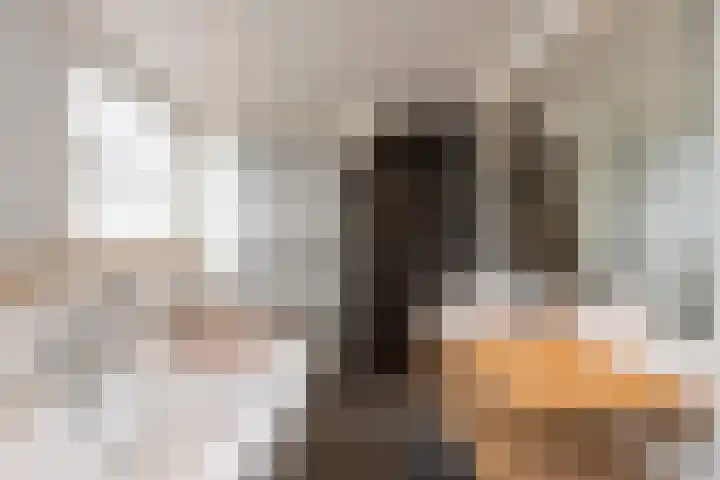 Van Bylandtstraat 13 Tilburg thumbnail 24