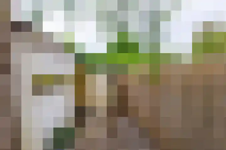 Van Bylandtstraat 13 Tilburg thumbnail 31