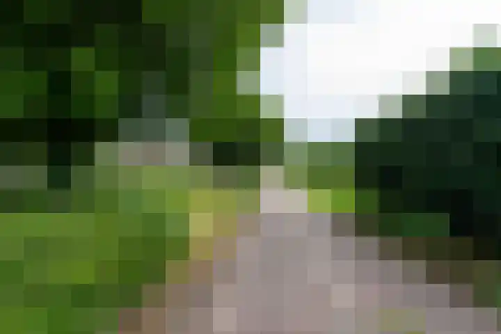 Van Bylandtstraat 13 Tilburg thumbnail 35