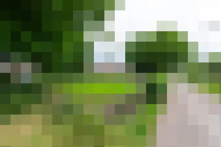 Van Bylandtstraat 13 Tilburg thumbnail 36
