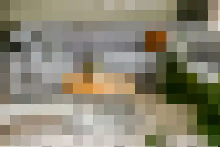 van Bylandtstraat 4 Doornenburg thumbnail 11