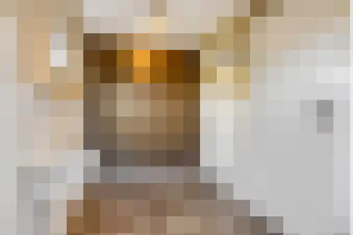 van Bylandtstraat 4 Doornenburg thumbnail 25