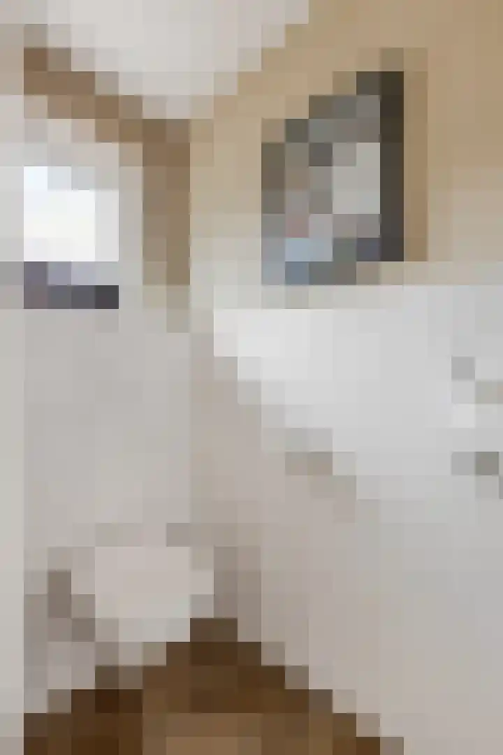 van Bylandtstraat 4 Doornenburg thumbnail 27