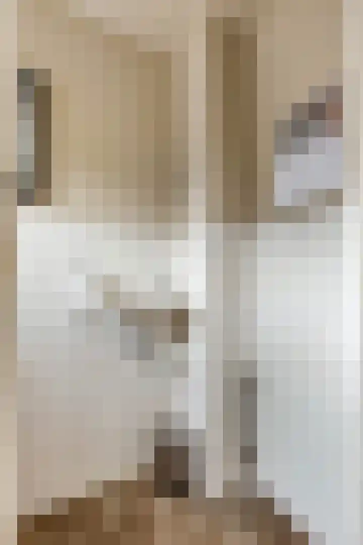 van Bylandtstraat 4 Doornenburg thumbnail 28