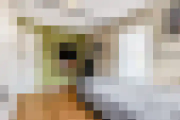 van Bylandtstraat 4 Doornenburg thumbnail 40