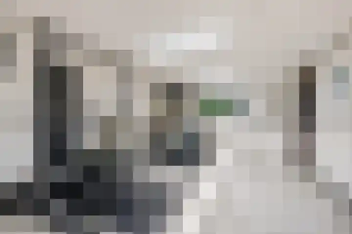 van Bylandtstraat 4 Doornenburg thumbnail 44