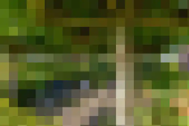 van Bylandtstraat 4 Doornenburg thumbnail 52