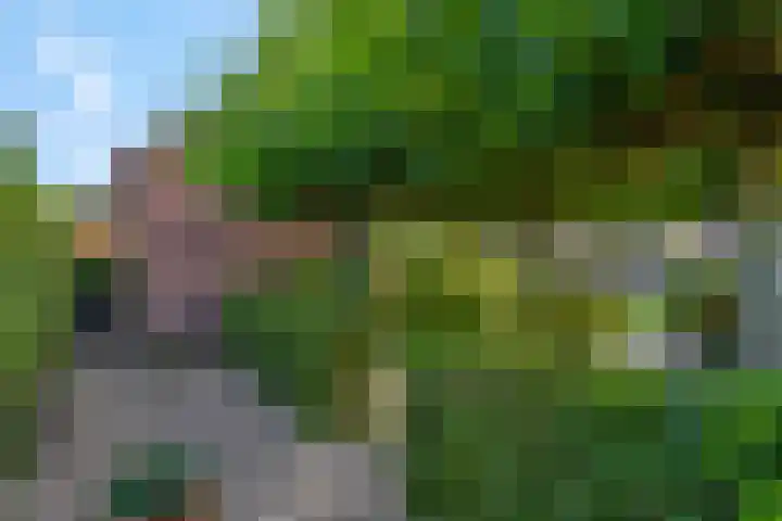 van Bylandtstraat 4 Doornenburg thumbnail 53