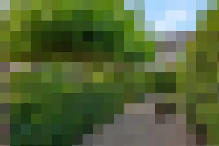van Bylandtstraat 4 Doornenburg thumbnail 54
