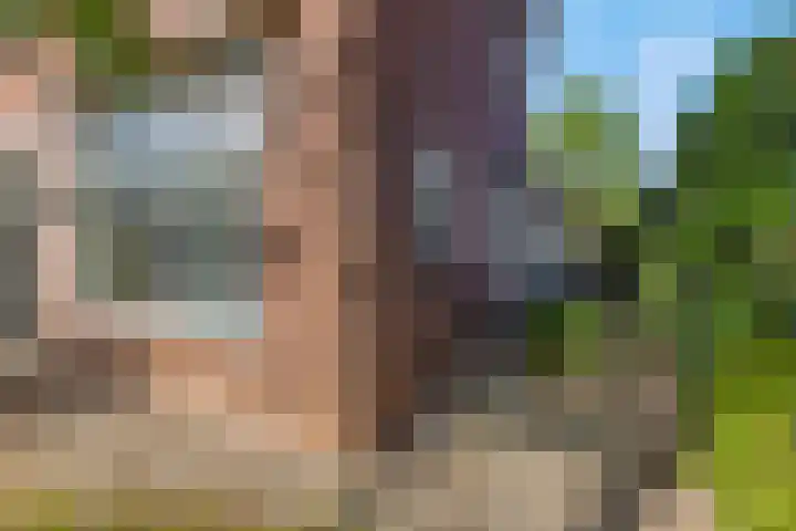 van Bylandtstraat 4 Doornenburg thumbnail 60