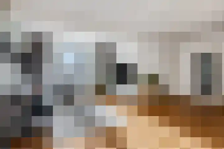 van Bylandtstraat 4 Doornenburg thumbnail 9