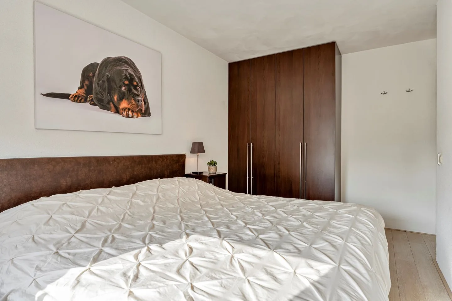 Van Bylandtstraat 62 Tilburg thumbnail 17