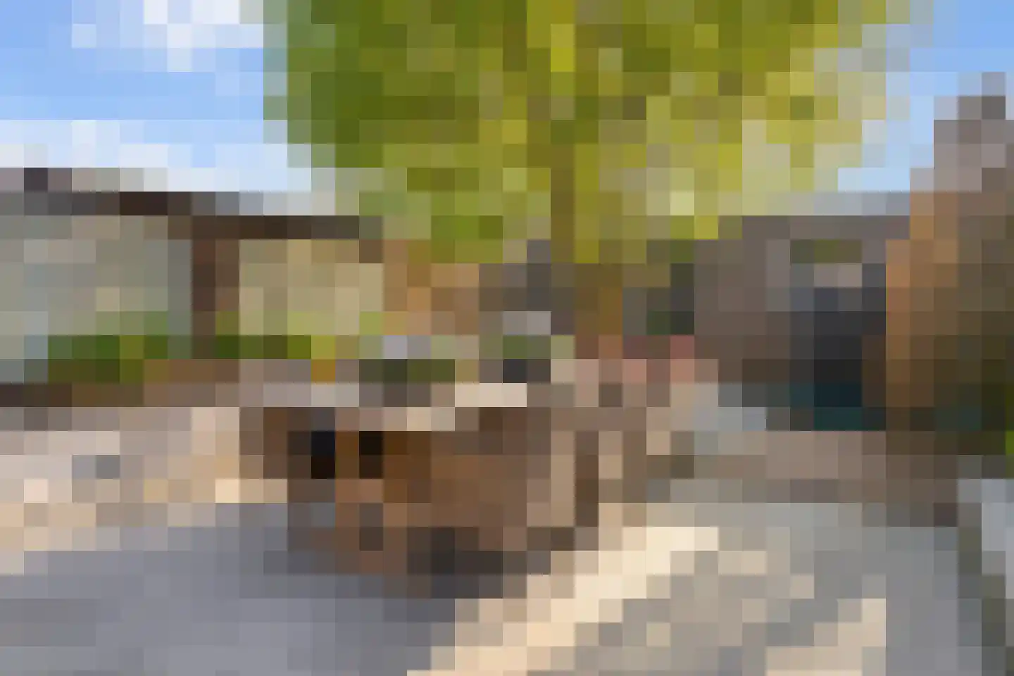Van Bylandtstraat 62 Tilburg thumbnail 30