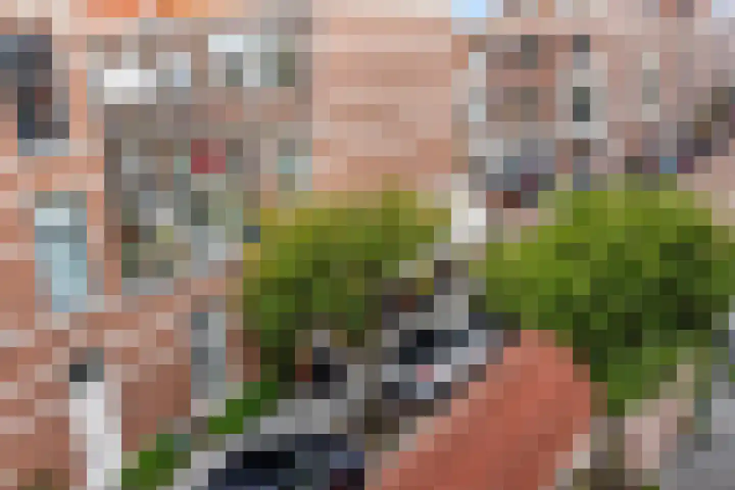 Van Bylandtstraat 83 B Den Haag thumbnail 6