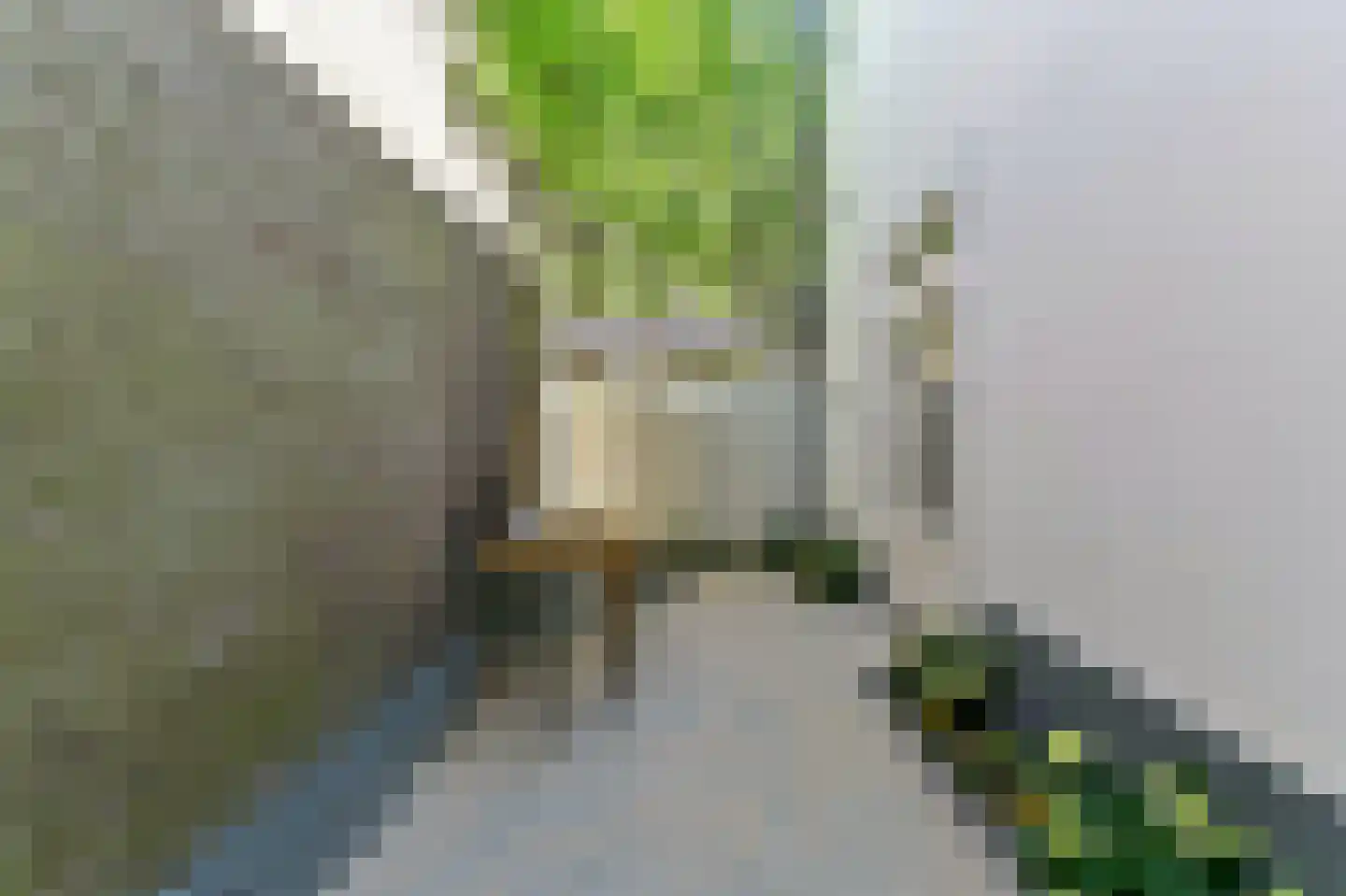 Van Bylandtstraat 85 Den Haag thumbnail 5