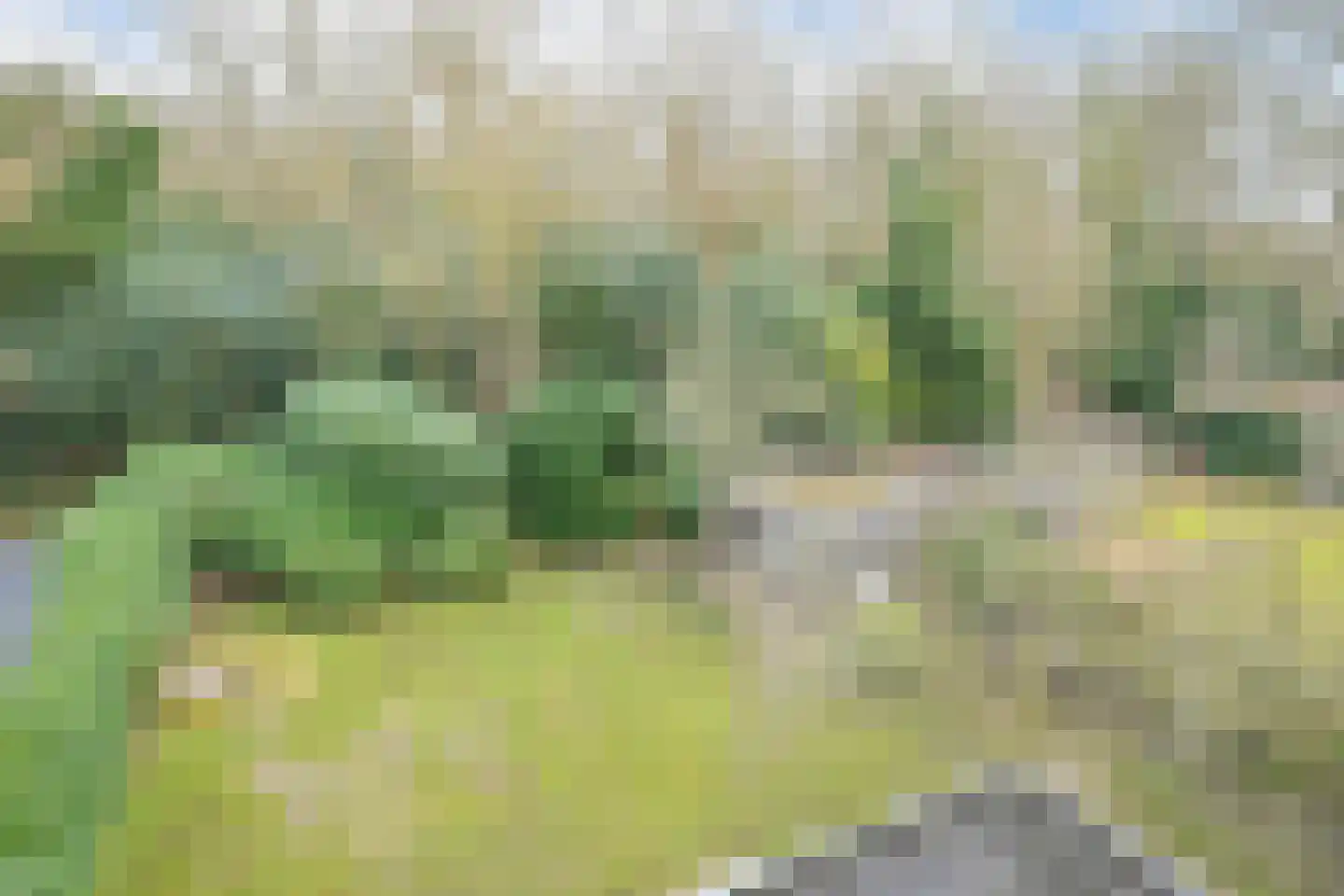 Van Calcarlaan 16 Wassenaar thumbnail 23