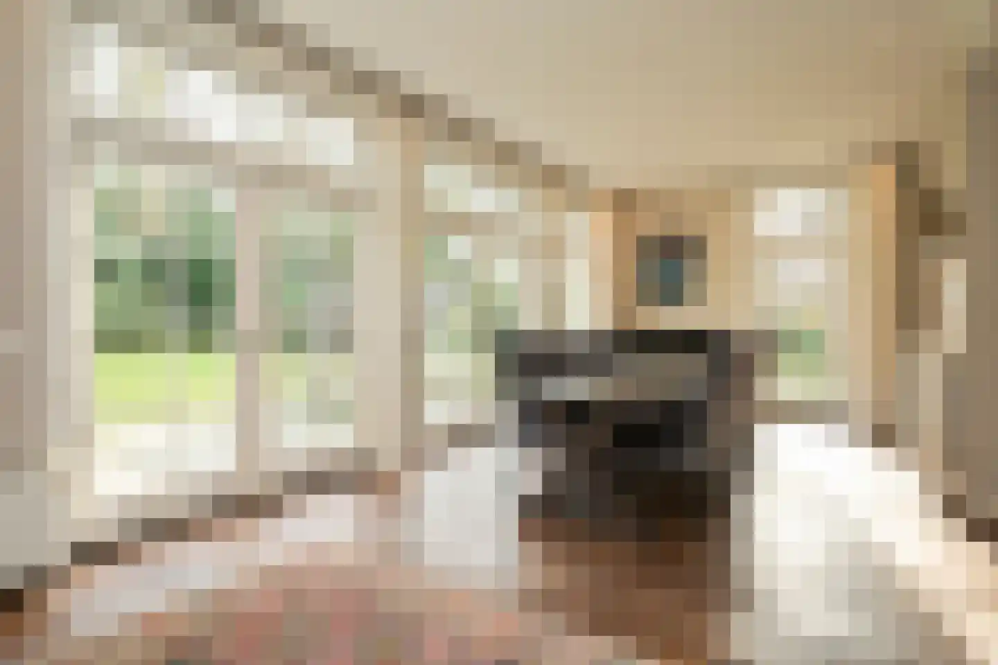 Van Calcarlaan 16 Wassenaar thumbnail 8