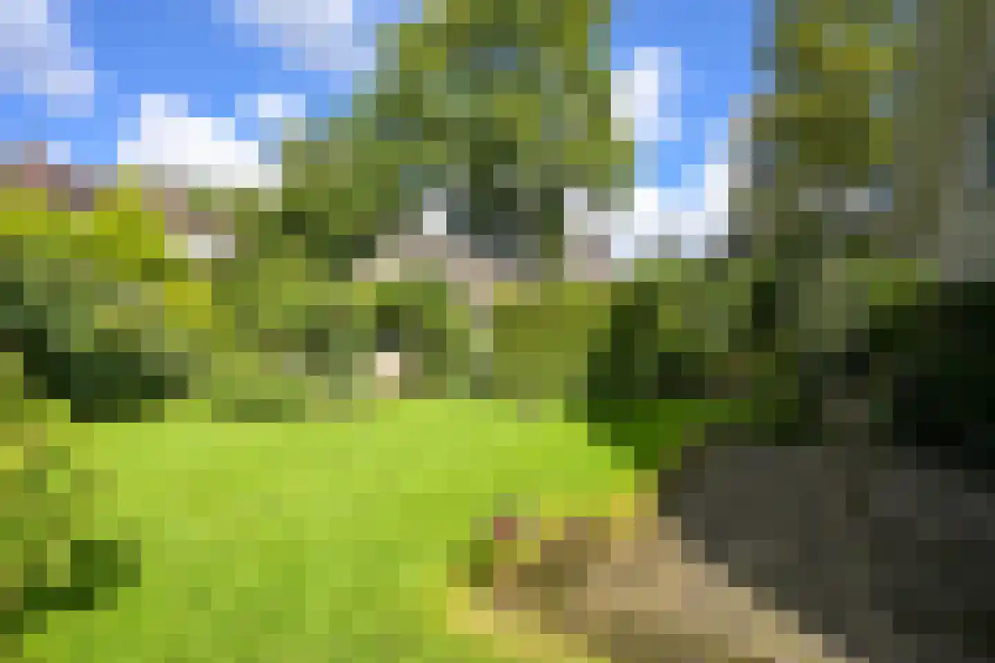 Van Calcarlaan 33 Wassenaar thumbnail 19