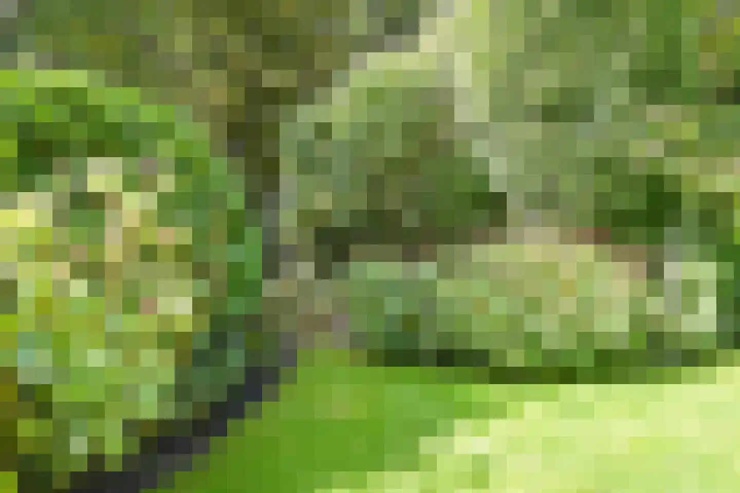 Van Calcarlaan 33 Wassenaar thumbnail 24