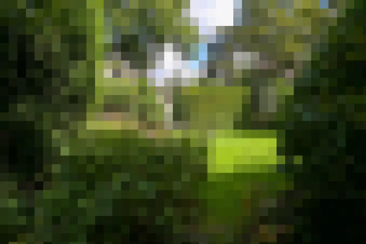 Van Calcarlaan 33 Wassenaar thumbnail 26