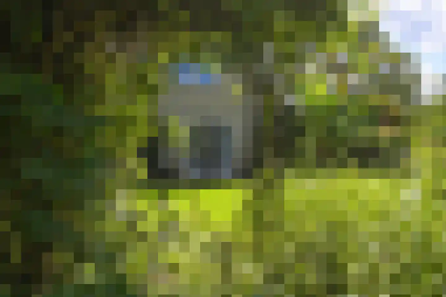 Van Calcarlaan 33 Wassenaar thumbnail 71