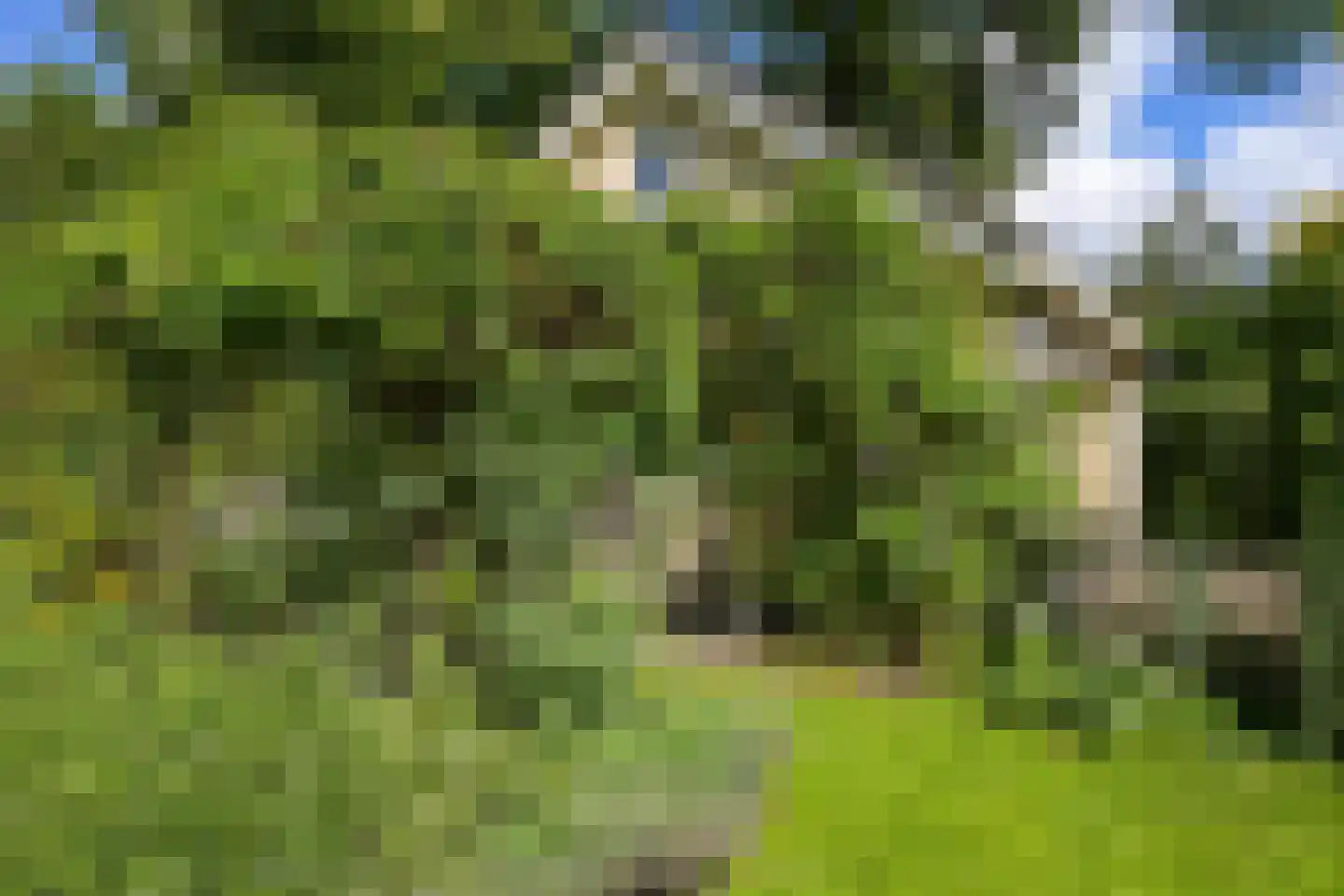 Van Calcarlaan 33 Wassenaar thumbnail 72