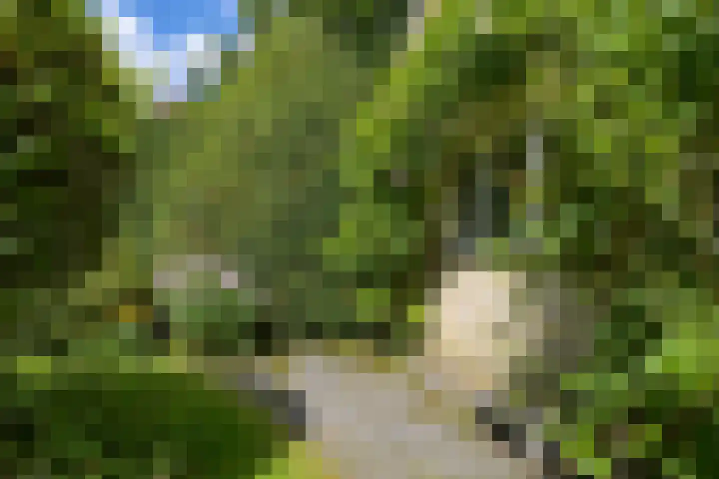 Van Calcarlaan 33 Wassenaar thumbnail 73