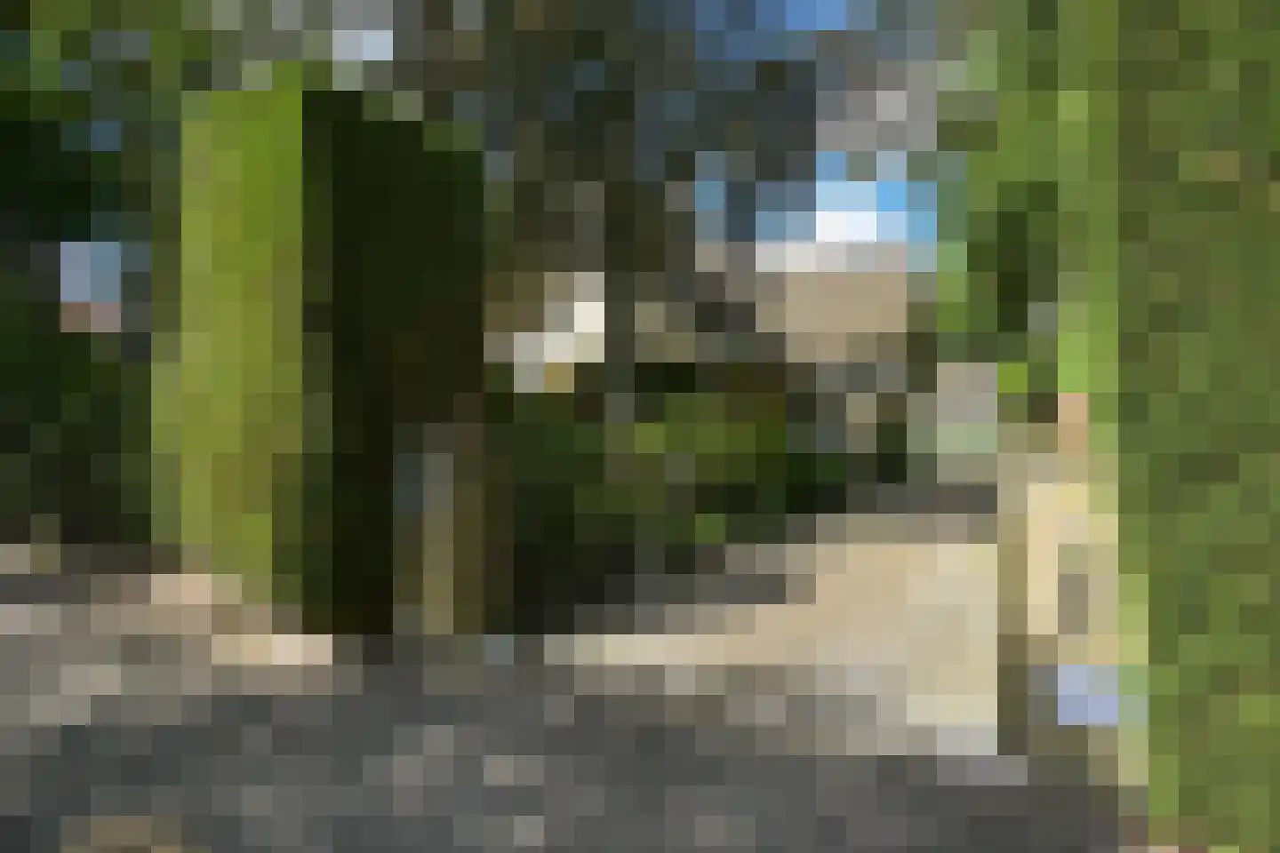 Van Calcarlaan 33 Wassenaar thumbnail 76