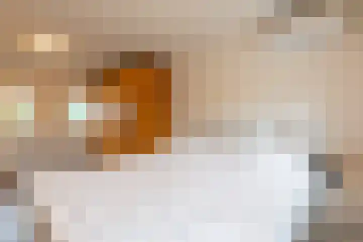 van Caldenborghstraat 10 Gronsveld thumbnail 19
