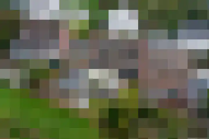 van Caldenborghstraat 10 Gronsveld thumbnail 29