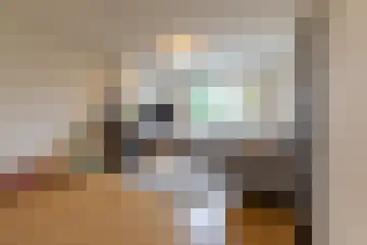 van Caldenborghstraat 10 Gronsveld thumbnail 9