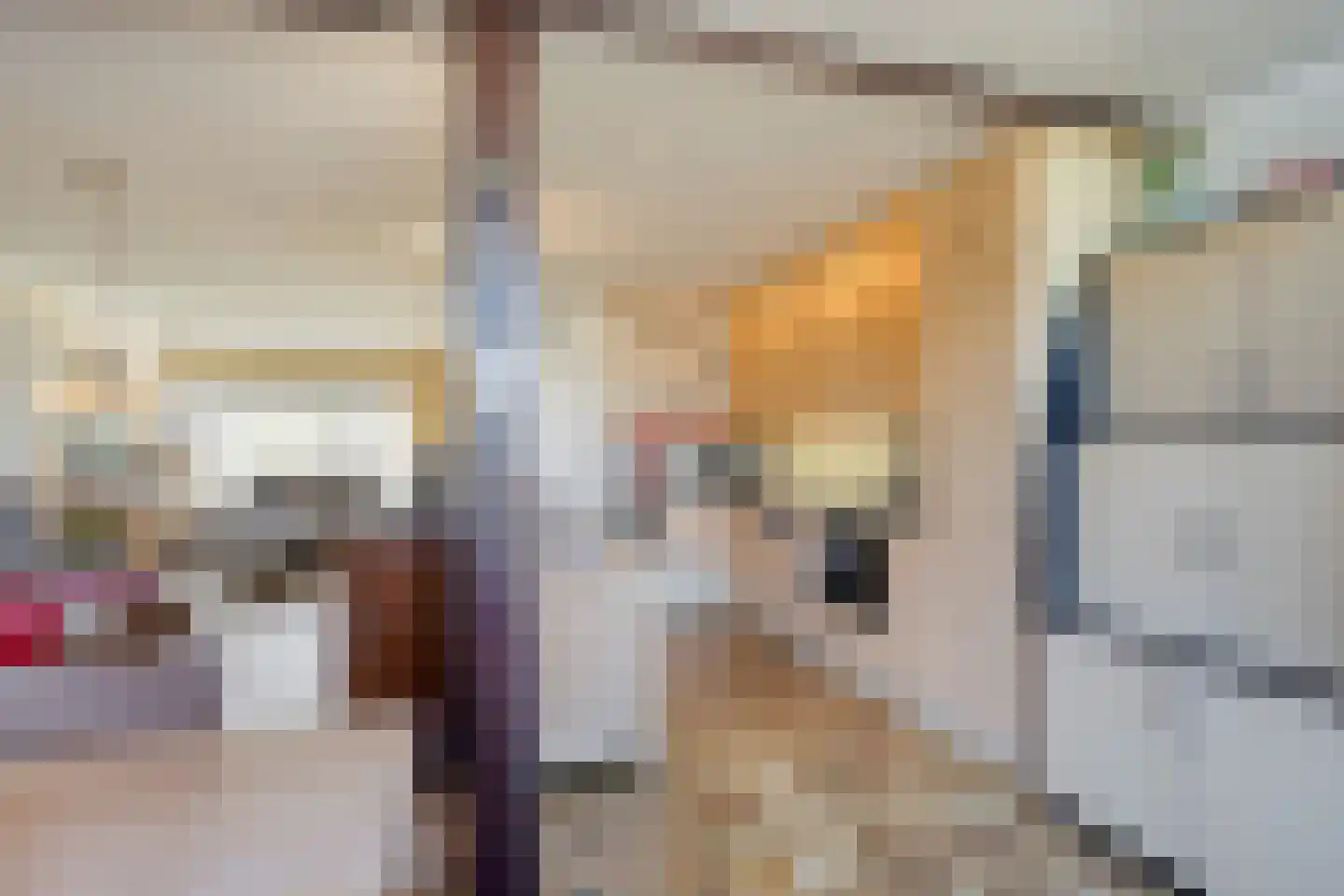van Caldenborghstraat 16 Gronsveld thumbnail 10