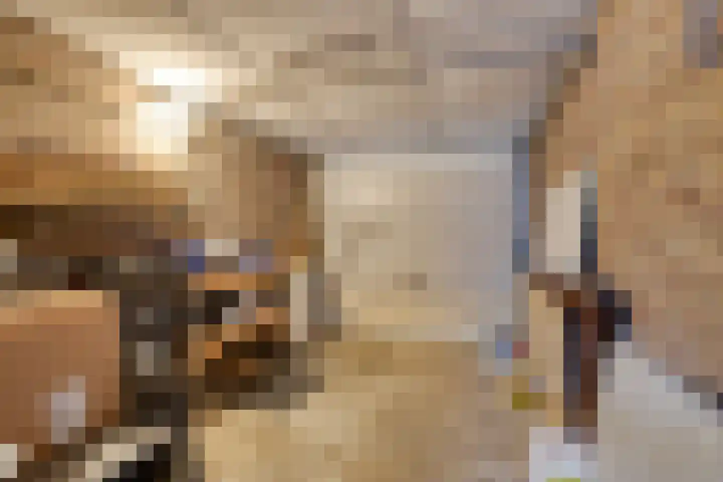 van Caldenborghstraat 16 Gronsveld thumbnail 25