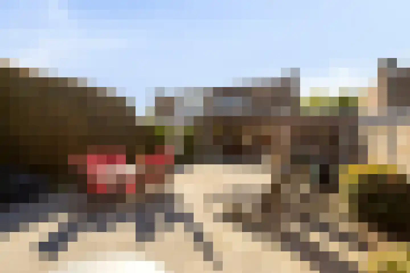van Caldenborghstraat 16 Gronsveld thumbnail 32