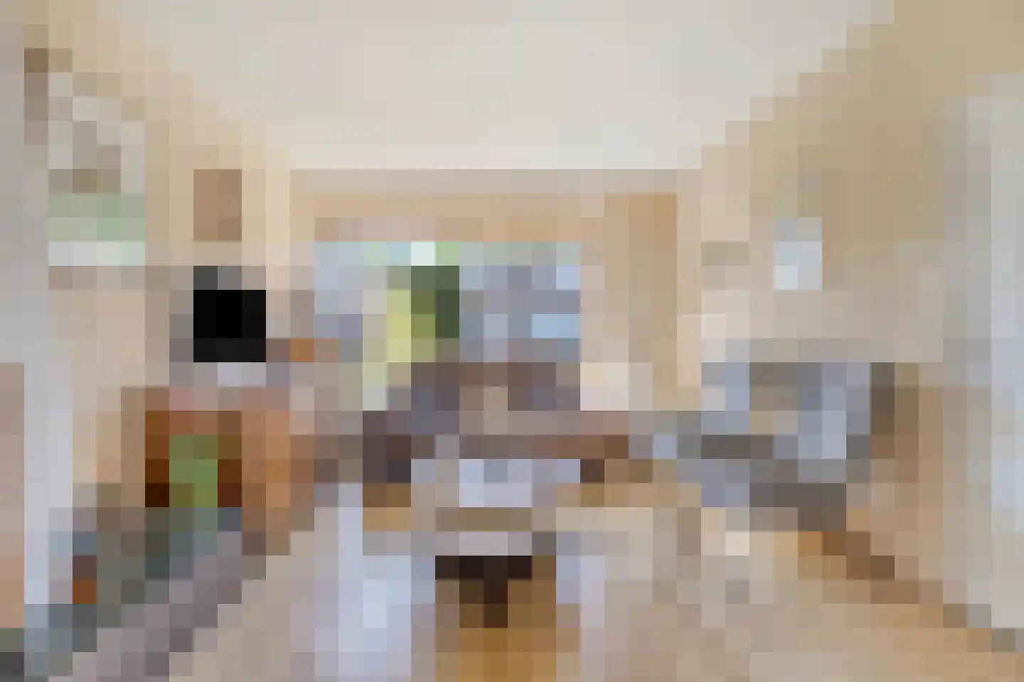 van Caldenborghstraat 16 Gronsveld thumbnail 6