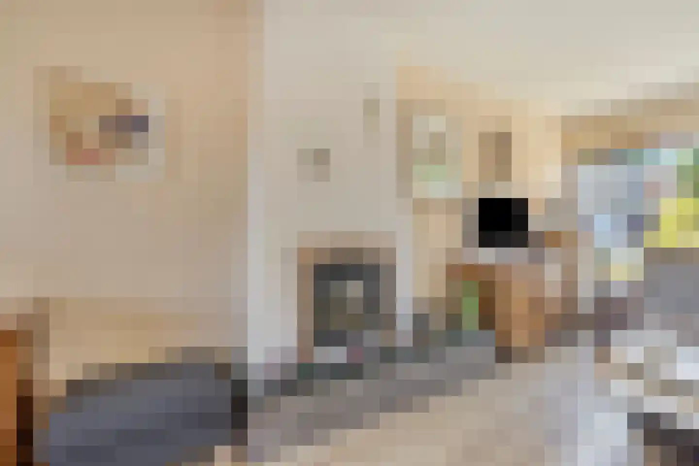 van Caldenborghstraat 16 Gronsveld thumbnail 7