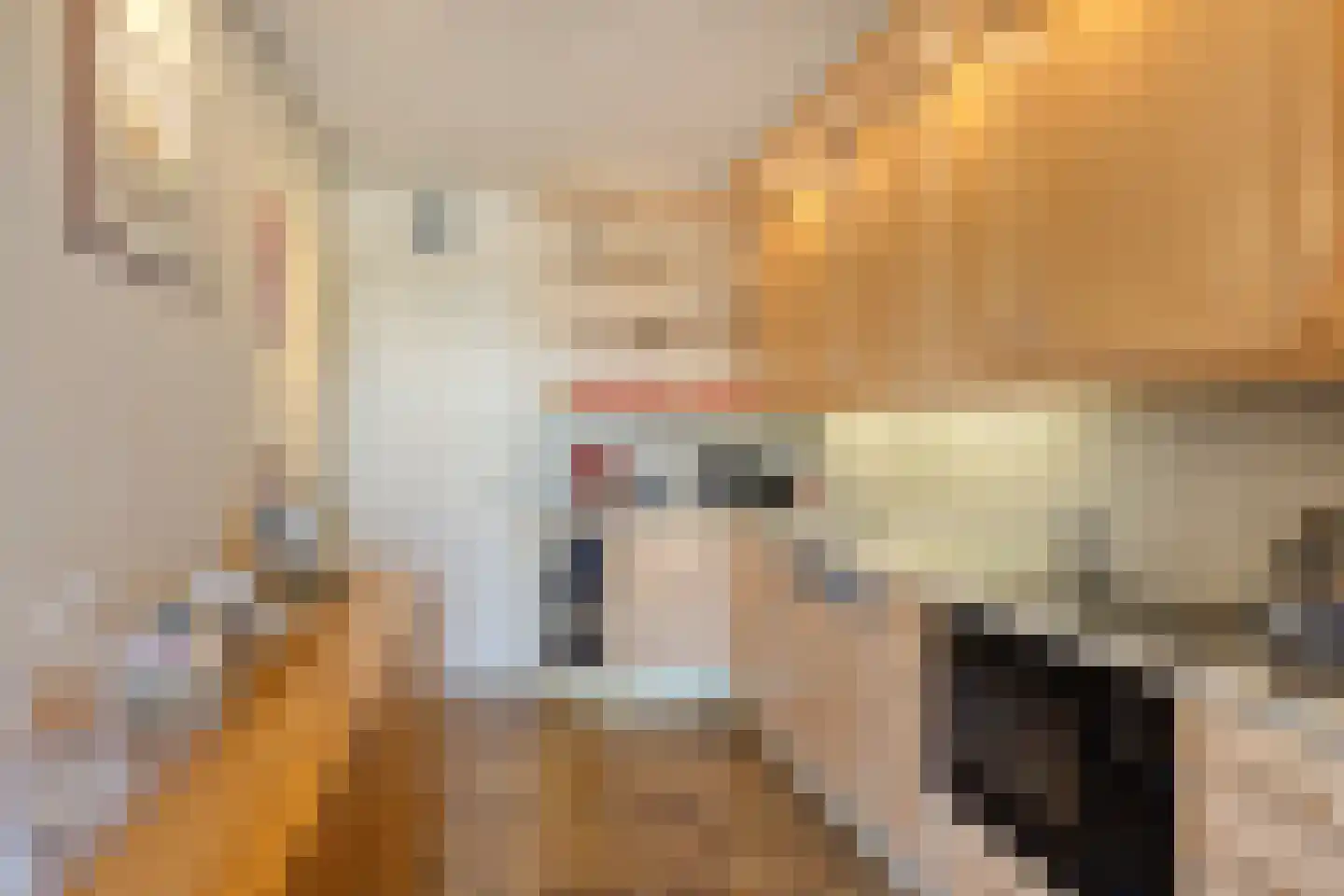 van Caldenborghstraat 16 Gronsveld thumbnail 9
