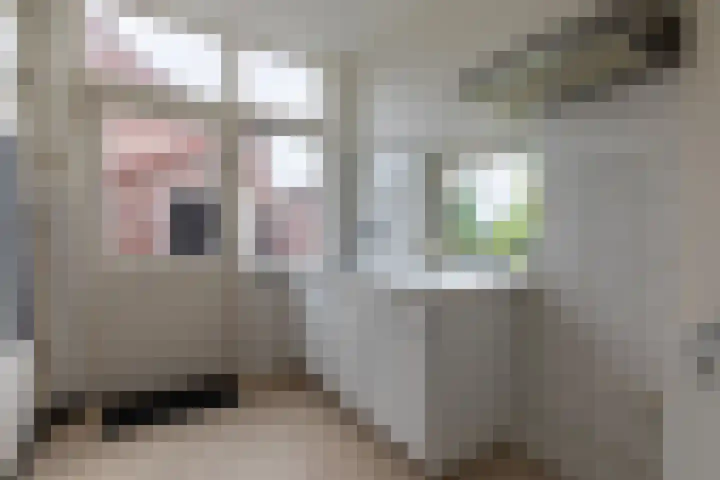 van Caldenborghsweg 8 Valkenburg thumbnail 8