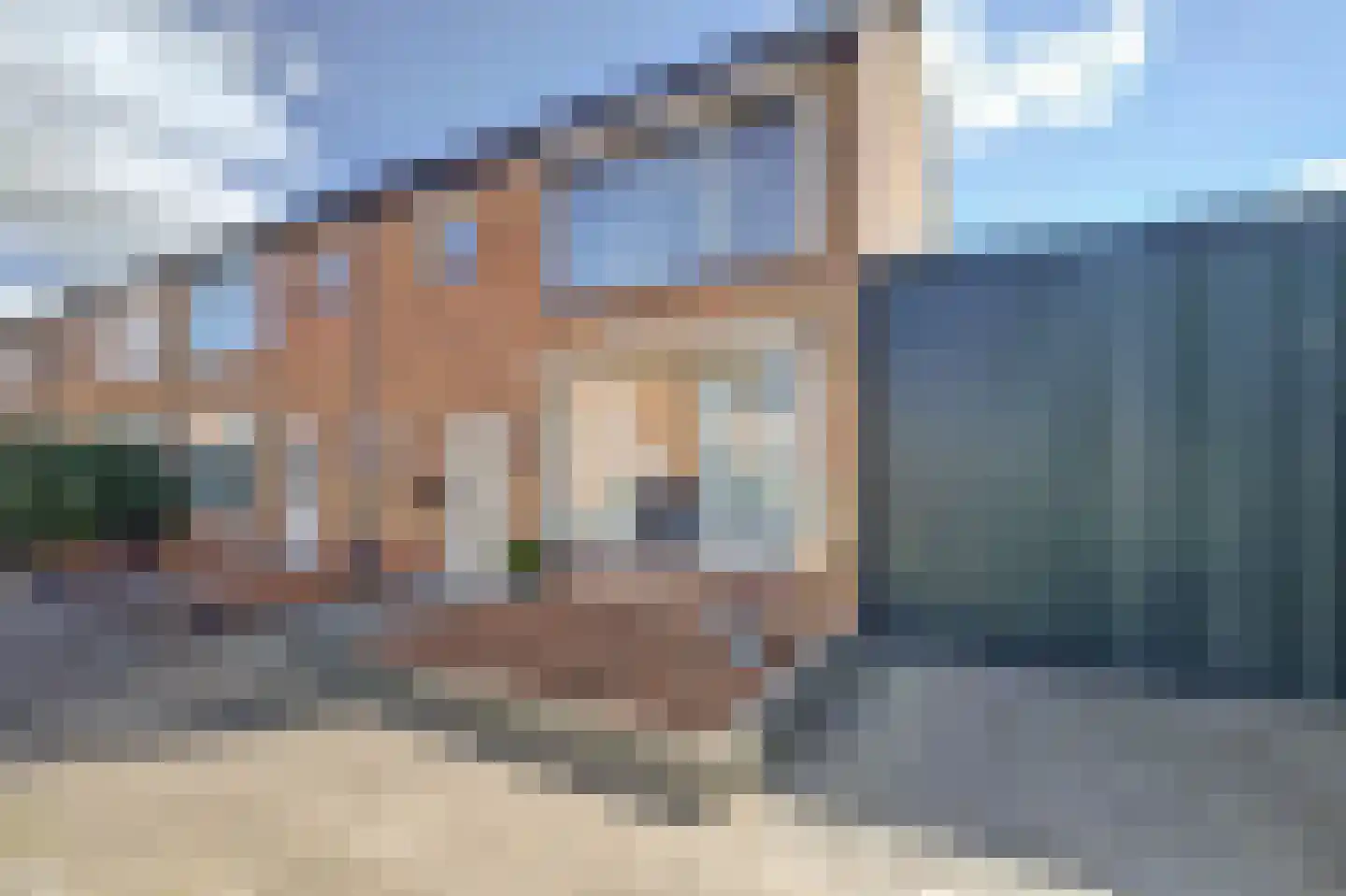 Van Camminghastraat 2 in Oudheusden