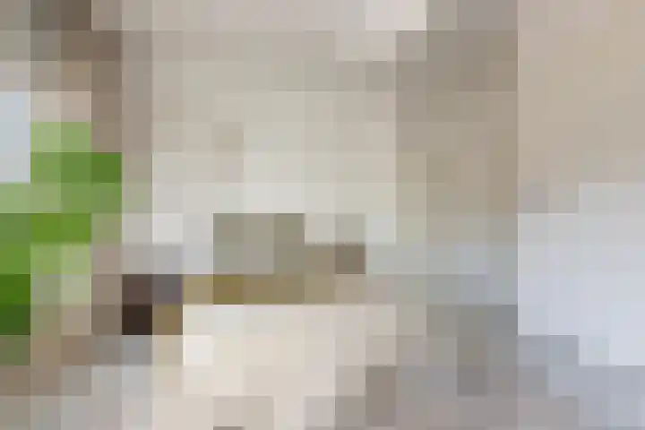 van Camminghaweg 3 Arum thumbnail 14